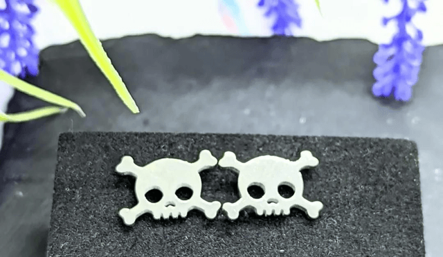 Stainless Steel Skull & Crossbones Stud Earrings 