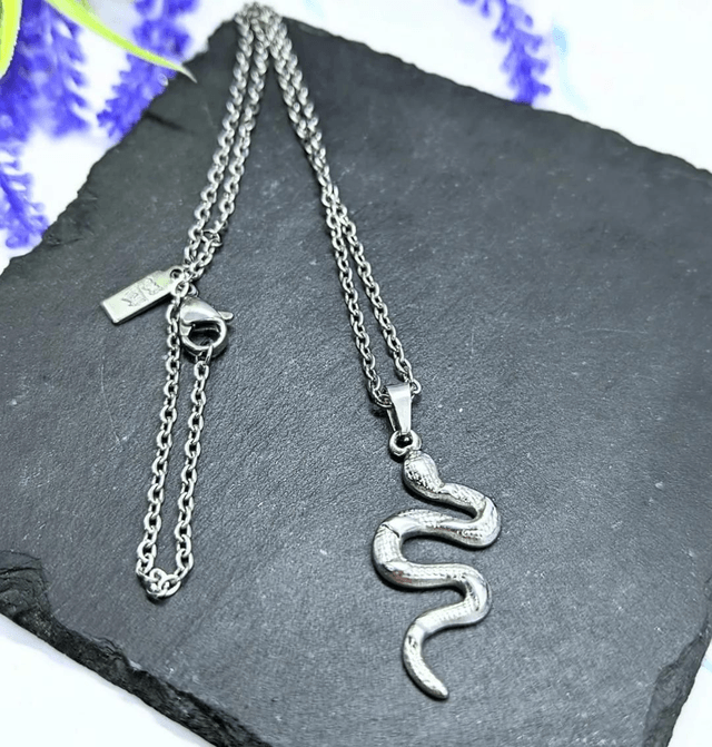 Stainless Steel Necklace with Snake Pendant.