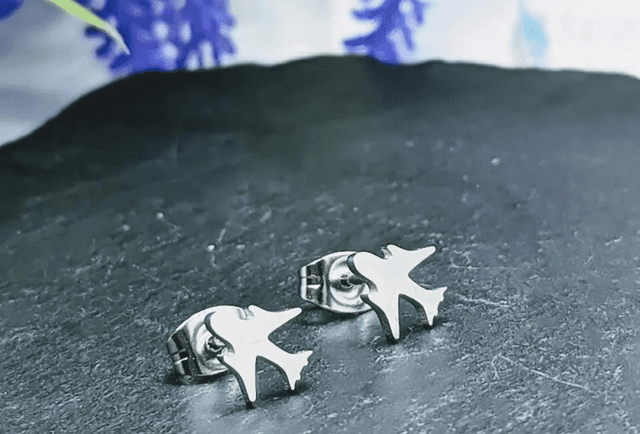 Stainless Steel Aeroplane Stud Earrings 